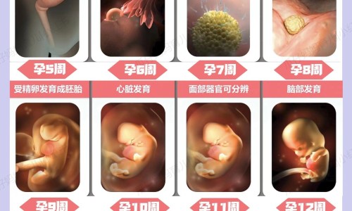 钩针编织婴儿鞋图解网—知名的钩针编织婴儿鞋视频教程网站,分享钩针编织婴儿鞋图解视频知识