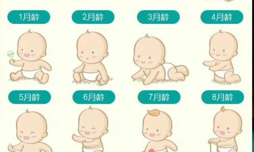 婴幼儿钩针鞋-钩针编织婴儿鞋图解网—知名的钩针编织婴儿鞋视频教程网站,分享钩针编织婴儿鞋图解视频知识